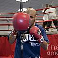 Boxer at Olympic Training Facility